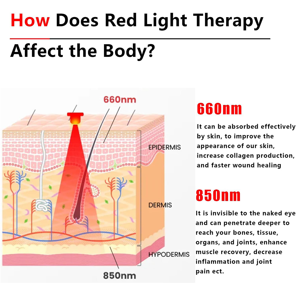 2025 新しい 60 LED 赤色および近赤外線ライト 6 - Galvanic Skin Sensor のレビューと価格